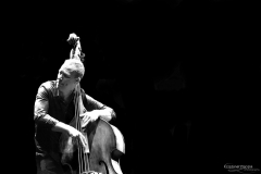 Avishai Cohen - 2015