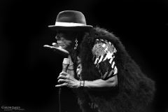 Dee Dee Bridgewater - 2014